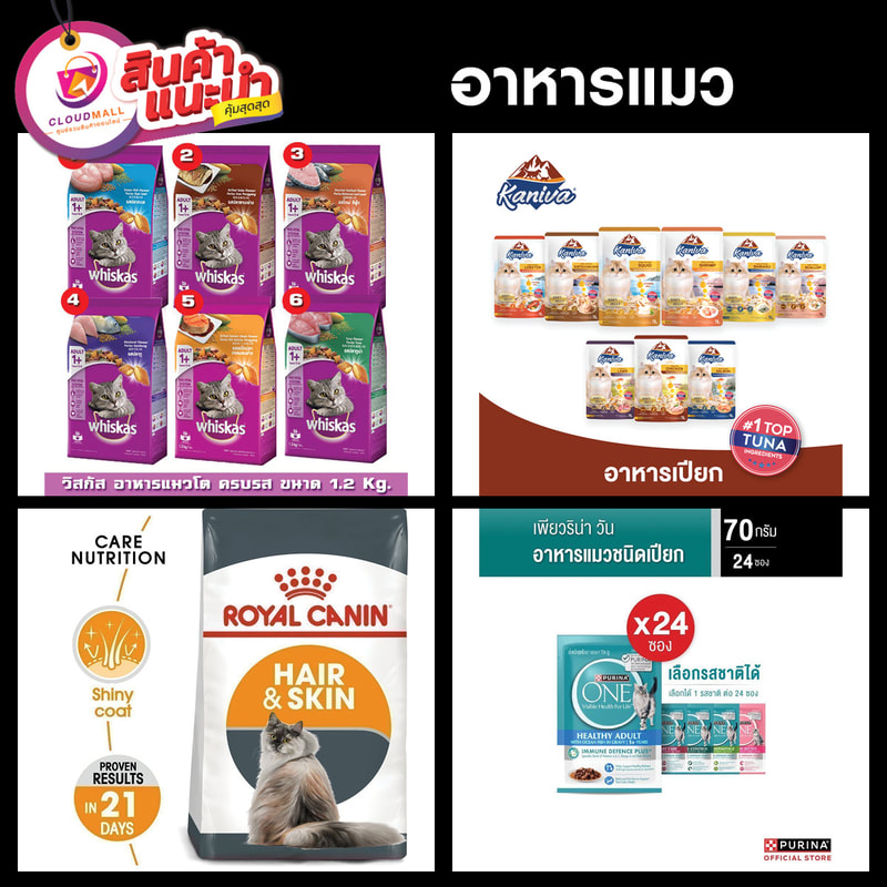 Shop Cat Food อาหารแมว by Cloud Mall